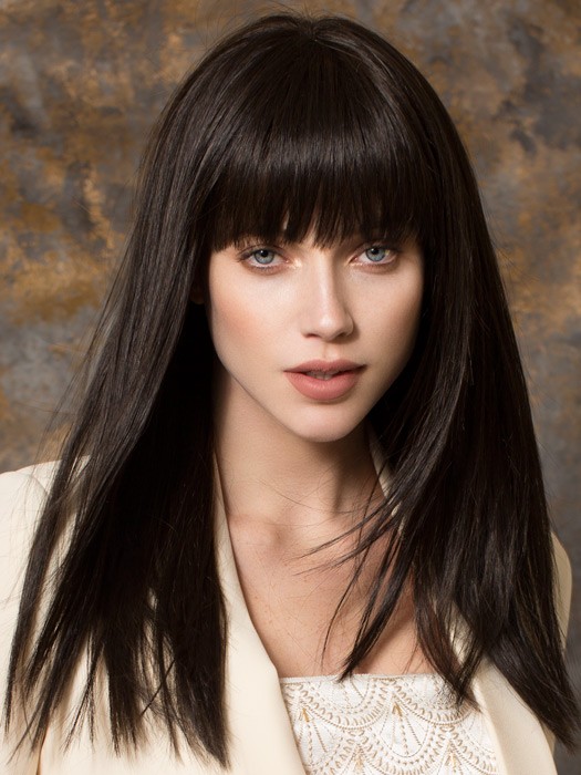 Cher_front,Hair Power Collection,Ellen Wille Wigs