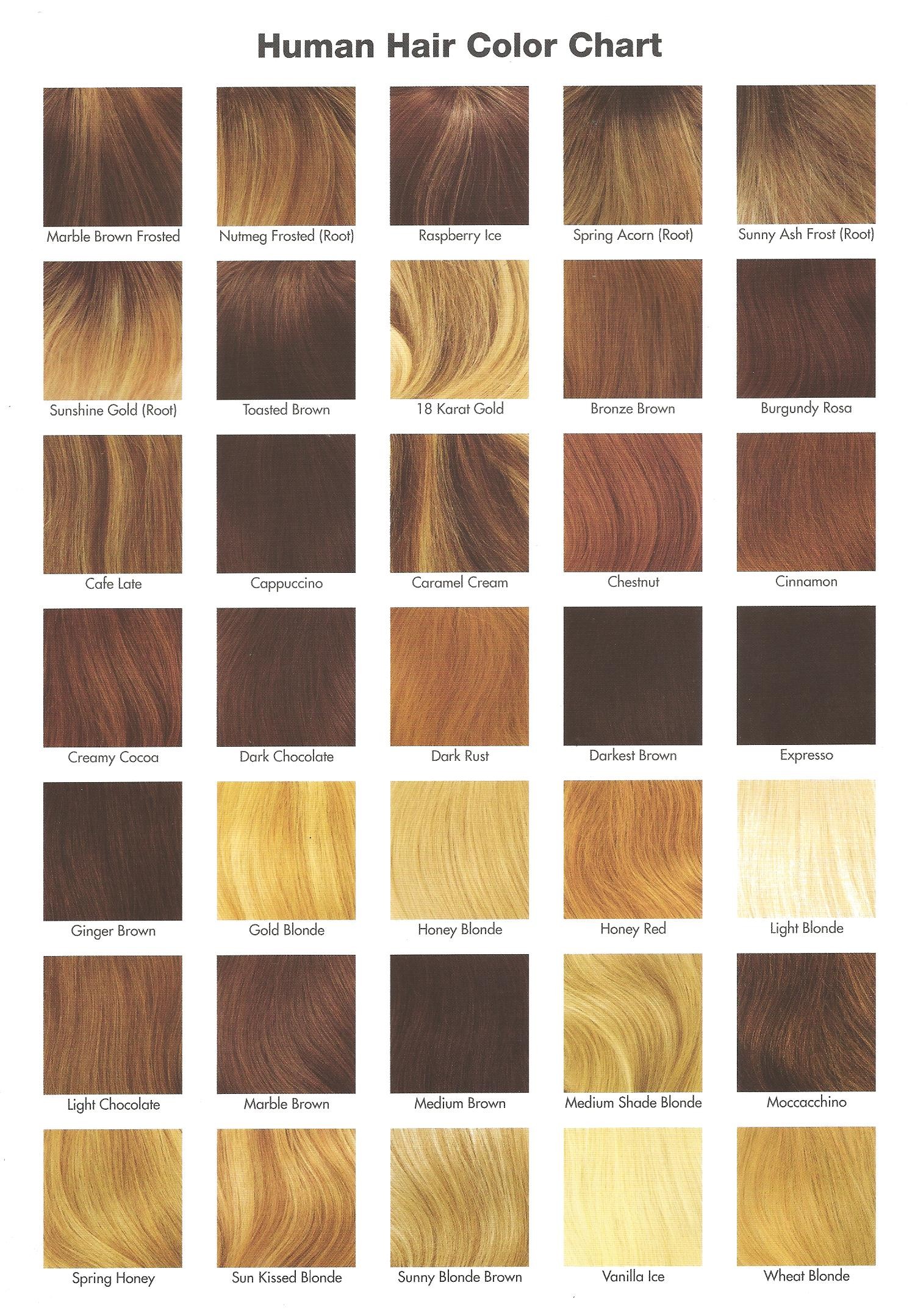 Louis Ferre Wigs Color Chart