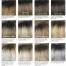 Envy Wigs Rooted Colorations Color Chart 