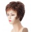 Portia_left,Mono Top Lace Front Collection,Tony of Beverly Wigs (color shown is Cognac)