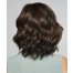 Editor's PicBacck,Sheer Indulgence,Raquel Welch Wigs, color shown is RL4/10SS Shaded Iced Java 